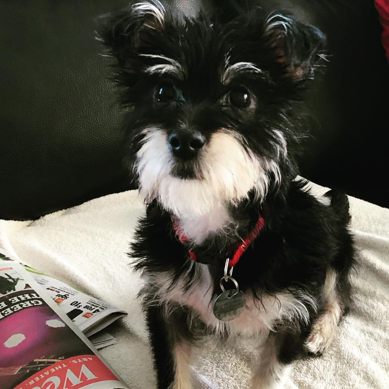 Services - TRI-STATE SPAY/NEUTER CLINIC